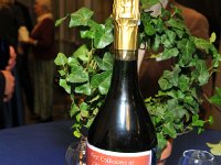 ©bobpaz0079  (c)BobPaz