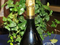 ©bobpaz0083  (c)BobPaz